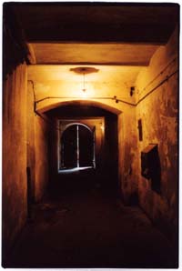 foto Jacek Balcewicz