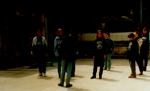 SPADANIE - PLENER w CAEN
